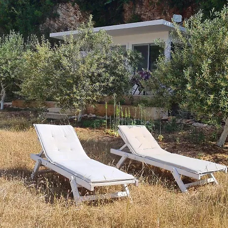 Prázdninový dům Martini Vacation *